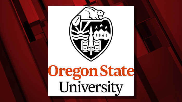 OSU's online Ecampus scores high nationally - KTVZ